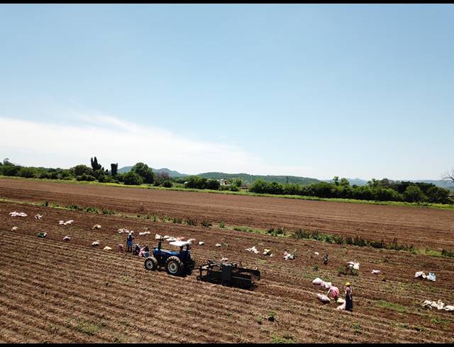 50HA FARM FOR SALE IN WEENEN